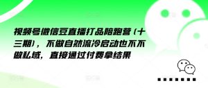 微信视频号微信豆直播打品陪跑营(十三期),不去做自动流出然冷动启都不不去做公域,接直达付完费拿结果-创业资源网