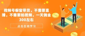 微信视频号橱窗展示卖货,不用直播间,不用拍摄视频,一天提成300上下-创业资源网