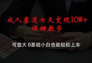 成年人跑道七天转现10W 家庭保姆课堂教学，可变大，0基本新手都可以轻松进入车内【揭密】-创业资源网