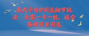 各个平台IP引流方法小细节游戏玩法,不用一卡一机,适用于各种新项目引流方法-创业资源网