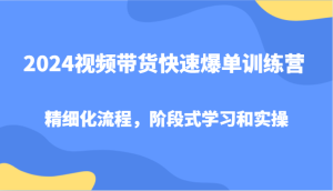 2024短视频带货迅速打造爆款夏令营，精细化管理步骤，环节式教学和实际操作-创业资源网