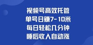 微信视频号高效率代管,运单号日赚7-10米,每日轻轻松松数分钟,睡后收入全自动涨-创业资源网