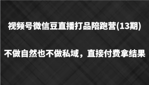 微信视频号微信豆直播打品陪跑(13期),不去做不自然流不做公域,立即付钱拿结果-创业资源网