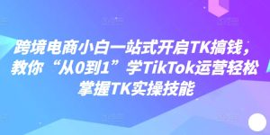 跨境电子商务新手一站式打开TK弄钱,教大家“从0到1”学TikTok经营快速掌握TK实操能力-创业资源网