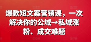 爆品短文案营销课,一次解决你的公域流量→公域增粉、交易量难点-创业资源网