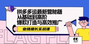 拼多多运最新营秘籍:业绩增长实战课,从基础到高阶,爆款打造与高效推广-创业资源网