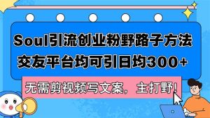 Soul引流创业粉野路子方法,交友平台均可引日均300+,无需剪视频写文案…-创业资源网