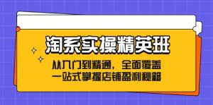 淘系实操精英班:从入门到精通,全面覆盖,一站式掌握店铺盈利秘籍-创业资源网