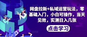 百度云盘引流 私域流量运营游戏玩法,零基础入门,小白可实际操作,当日奏效-创业资源网