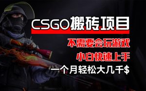 CSGO 装备搬砖项目,操作简单,不需要会玩游戏,小白也能快速上手,一…-创业资源网
