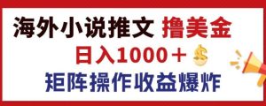 全新国外小说推文撸美元,日入1k  朝阳行业,引流矩阵变大盈利发生爆炸-创业资源网