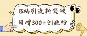 B站引流方法重大突破:24年日增300 自主创业粉的有效攻略大全-创业资源网