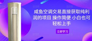 闲鱼中央空调买卖直接获取净利润项目 操作方便 新手也可以快速上手-创业资源网