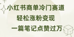小红书的商单小众跑道 一篇手记关注点赞破万 轻轻松松增粉转现-创业资源网
