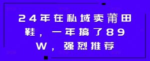 24年于公域卖莆田鞋,一年做了89W,极力推荐-创业资源网
