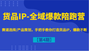 货物IP-示范区爆品陪跑营【第4期】跑道挑选/产品规划，教你如何打造出货物IP，爆品持续-创业资源网