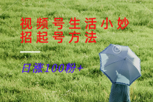 微信视频号生活小窍门共享跑道, 养号增粉新的方法,日涨100粉-创业资源网