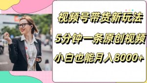 视频号带货新玩法，5分钟一条原创视频，小白也能月入8000+-创业资源网
