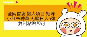 全网首发 懒人项目 矩阵小红书种草 无脑日入5张 复制粘贴即可-创业资源网