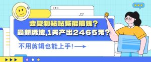 会复制粘贴就能搞钱?最新玩法,1天产出2465元?不用剪辑也能上手-创业资源网