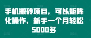 手机搬砖项目,可以矩阵化操作,新手一个月轻松5000多-创业资源网