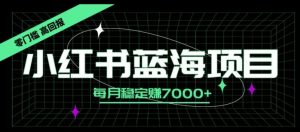 小红书蓝海项目,零门槛、高回报,每月稳定赚7000+-创业资源网