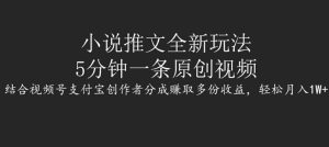 小说推文全新玩法，5分钟一条原创视频，结合视频号支付宝创作者分成赚取多份收益，轻松月入1W+-创业资源网