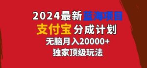 2024最新蓝海项目,支付宝分成计划,独家顶级玩法,无脑自动剪辑,-创业资源网