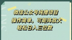 微信公众号纯撸项目,操作简单,可矩阵放大,轻松日入三位数-创业资源网
