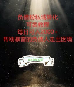 负债粉掘金计划，帮助负债者解决问题，债务规划，债务重组，最好的变现方式【揭秘】-创业资源网