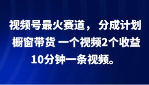 视频号最火赛道, 分成计划, 橱窗带货,一个视频2个收益,10分钟一条视频。-创业资源网