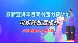 最新蓝海项目支付宝分成计划,可矩阵批量操作,小白也能月入五位数-创业资源网
