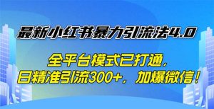 最新小红书暴力引流法4.0, 全平台模式已打通,日精准引流300+,加爆微…-创业资源网