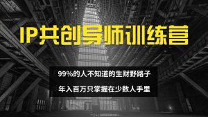 IP共创导师训练营 99%的人不知道的生财野路子 只掌握在少数人手里-创业资源网