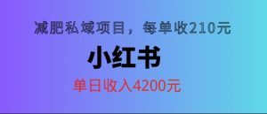 小红书减肥私域项目，每单210元，单日可卖出15单，利润3150-创业资源网