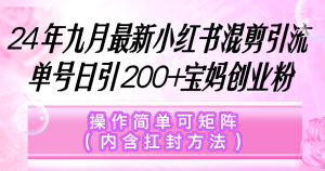 小红书混剪引流,单号日引200+宝妈创业粉,操作简单可矩阵(内含扛封…-创业资源网