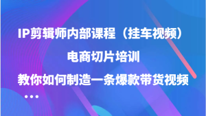 IP剪辑师内部课程，电商切片培训，教你如何制造一条爆款带货视频-创业资源网