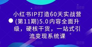 小红书IP打造60天实战营(第11期)5.0内容全面升级,硬核干货,一站式引流变现系统课-创业资源网
