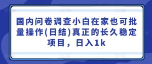 国内问卷调查小白在家也可批量操作(日结)真正的长久稳定项目,日入1k【揭秘】-创业资源网