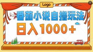 番茄小说自撸玩法，不看播放量，不看视频质量，每天几张-创业资源网