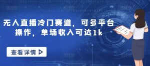 无人直播冷门赛道,可多平台操作,单场收入可达1k-创业资源网