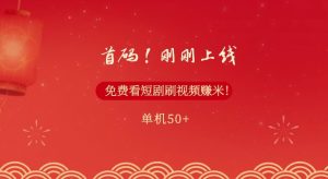 首码，刚刚上线，免费看短剧刷视频赚米，单机50+-创业资源网