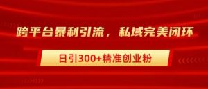 跨平台暴力引流,私域完美闭环,日引100+精准创业粉-创业资源网