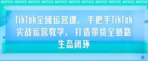 TikTok全域运营课,手把手TikTok实战运营教学,打造带货全链路生态闭环-创业资源网