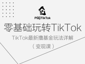 零基础玩转TiKToK变现课,TikTok最新撸基金玩法详解-创业资源网