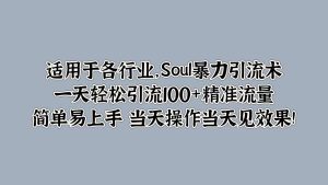 Soul暴力引流术,一天轻松引流100+精准流量,简单易上手 当天操作当天见效果!-创业资源网