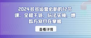 2024多多运营必听的12节课，全程干货，玩法实操，爆款方案尽在掌握-创业资源网