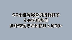 QQ小世界男粉引流野路子,小白无脑操作,多种变现方式-创业资源网