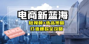 商家必看电商新蓝海：短视频+选品策略，打造爆款全攻略，月入10w+-创业资源网