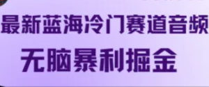 最新蓝海冷门赛道音频,无脑暴利掘金-创业资源网